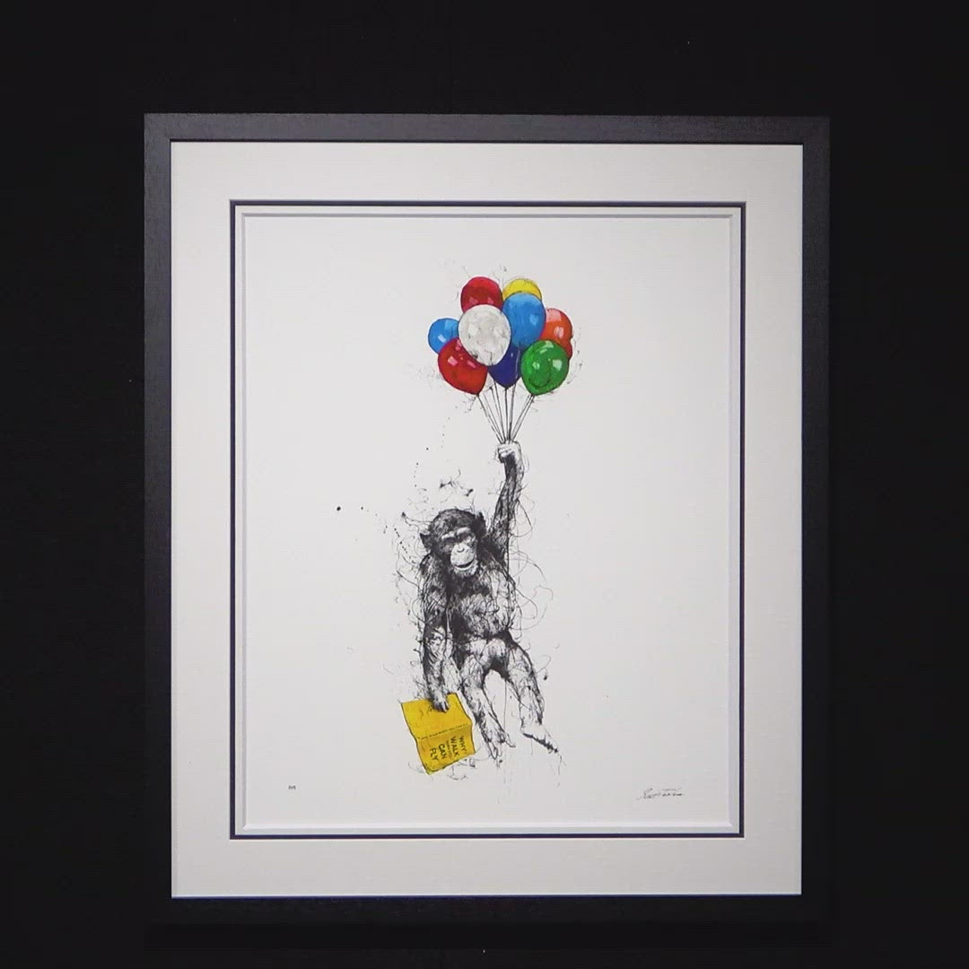 Why Walk When You Can Fly - Edition