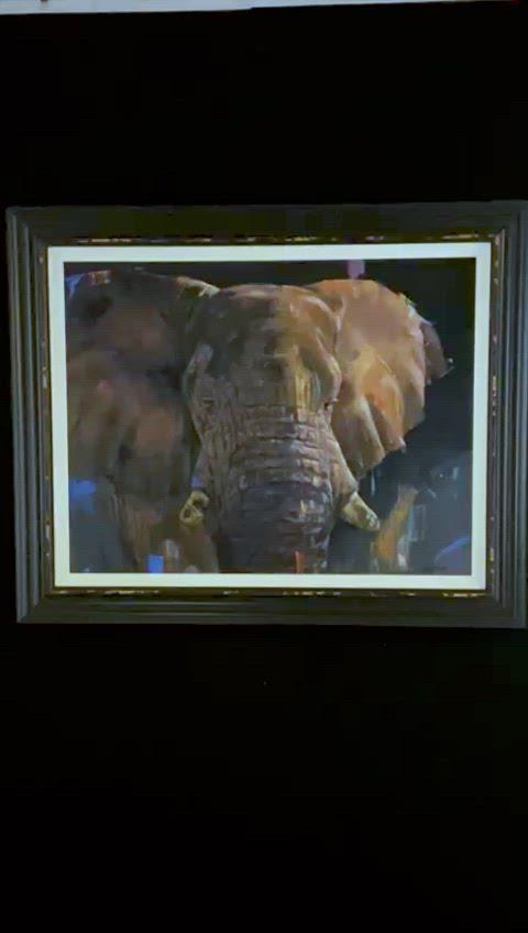 The Protector Video by Lyndsey Selley