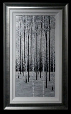Silver Birches Triptych - SOLD by artist Alex Jawdokimov - Wyecliffe Galleries