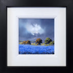 Bluebell Amble - Original - SOLD by artist Allan Morgan - Wyecliffe Galleries