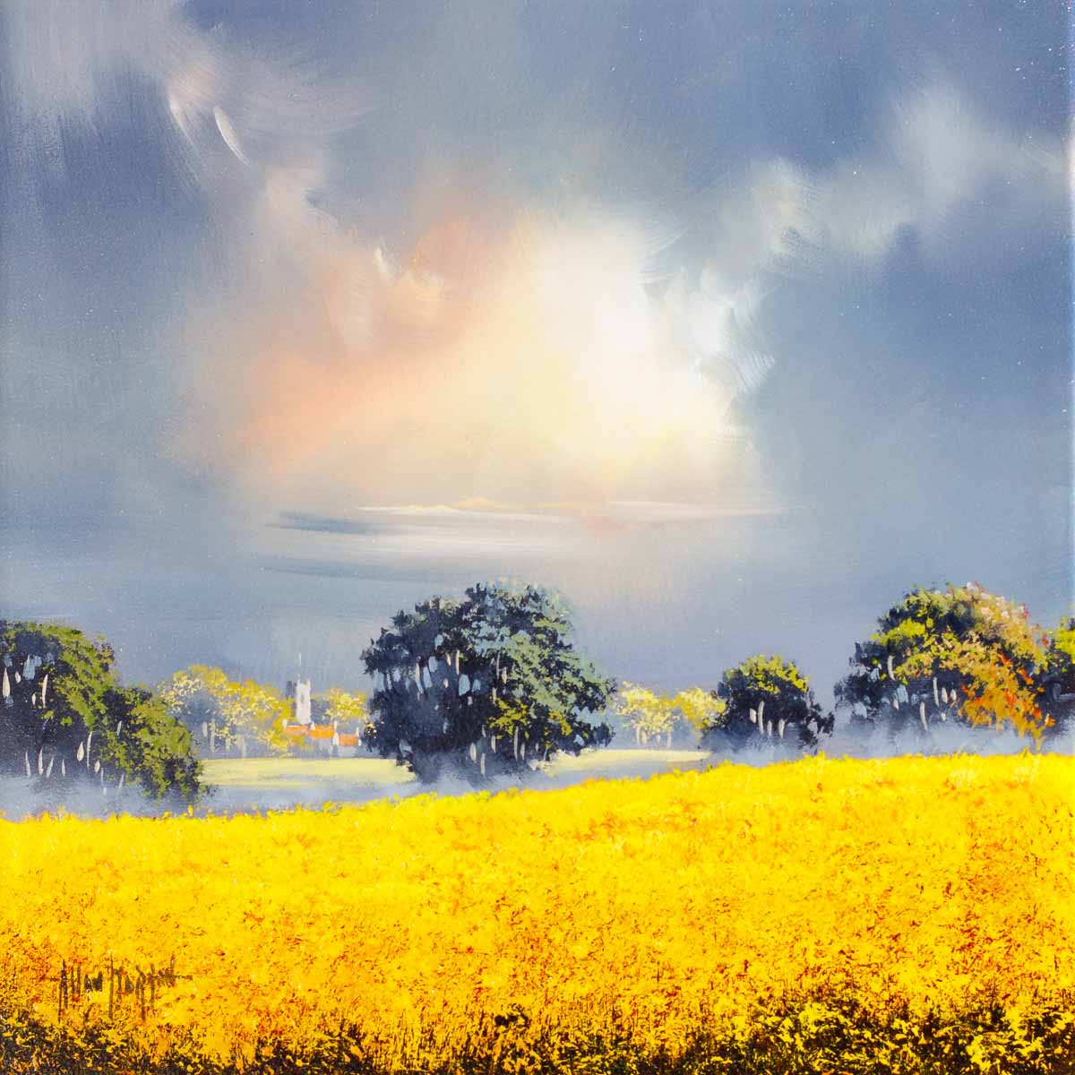 Cloudy Skies - Original Allan Morgan Framed