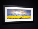 Golden Fields - Original - SOLD by artist Allan Morgan - Wyecliffe Galleries