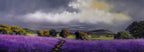 Lavender Fields - SOLD by artist Allan Morgan - Wyecliffe Galleries