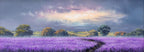 Lavender Passageway - Original - SOLD by artist Allan Morgan - Wyecliffe Galleries