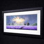 Purple Days - SOLD by artist Allan Morgan - Wyecliffe Galleries