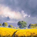 Radiant Fields - Original - SOLD by artist Allan Morgan - Wyecliffe Galleries