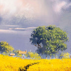 Radiant Fields - Original - SOLD by artist Allan Morgan - Wyecliffe Galleries