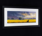 Rays of Sunshine - Original - SOLD by artist Allan Morgan - Wyecliffe Galleries