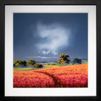 Scarlet Bloom - Original - SOLD by artist Allan Morgan - Wyecliffe Galleries