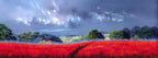 Scarlett Field - Original - SOLD by artist Allan Morgan - Wyecliffe Galleries