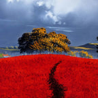 The Red Sea - Original SOLD by artist Allan Morgan - Wyecliffe Galleries