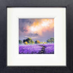 Violet Fields II - Original - SOLD by artist Allan Morgan - Wyecliffe Galleries