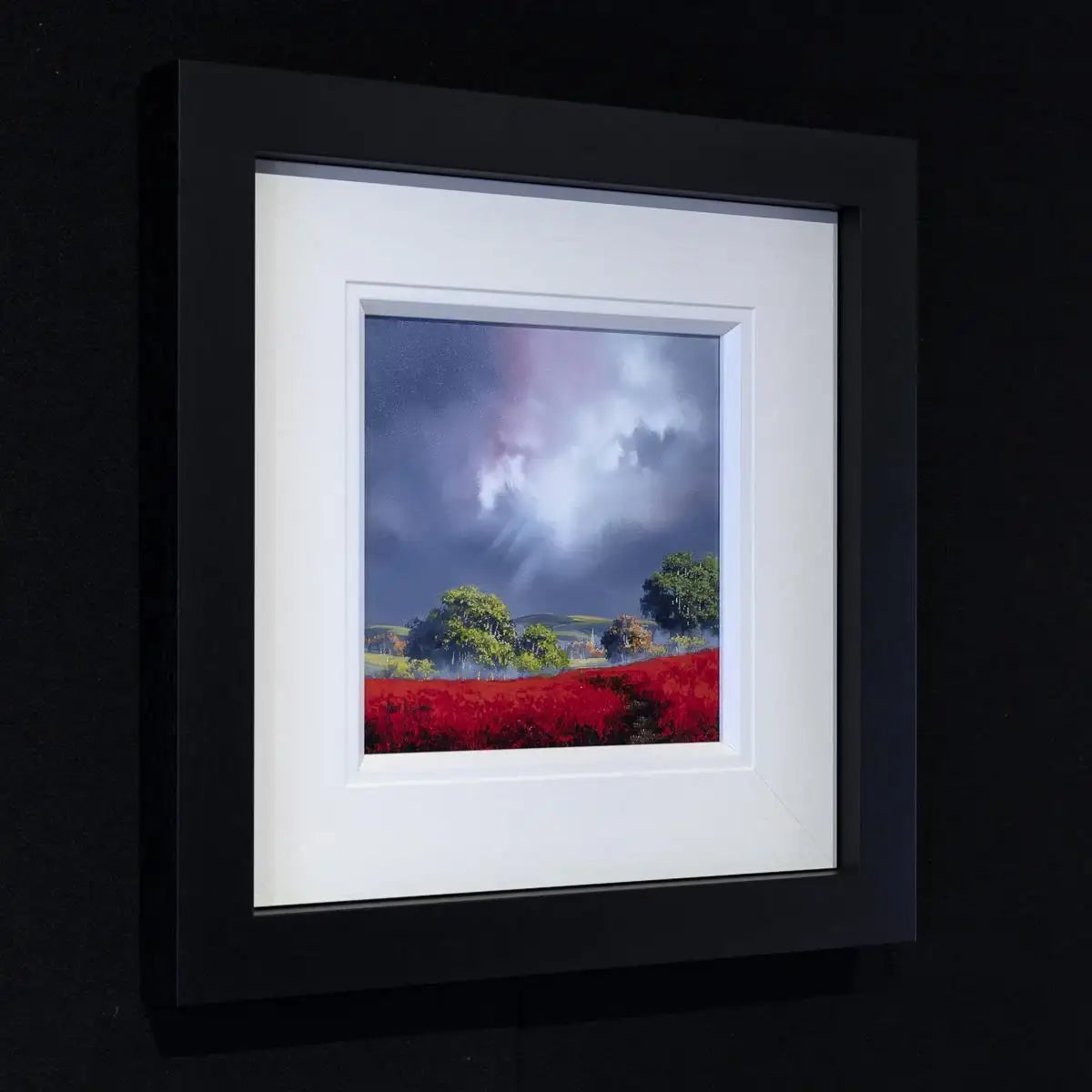 Wild Poppies - Original - SOLD by artist Allan Morgan - Wyecliffe Galleries