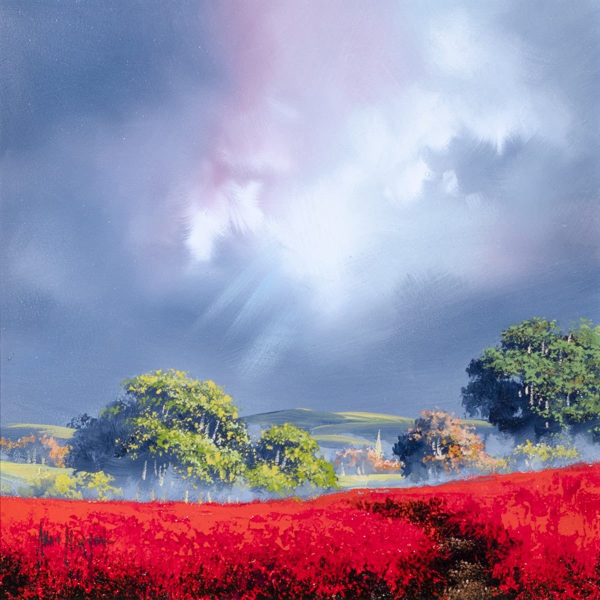 Wild Poppies - Original Allan Morgan Framed