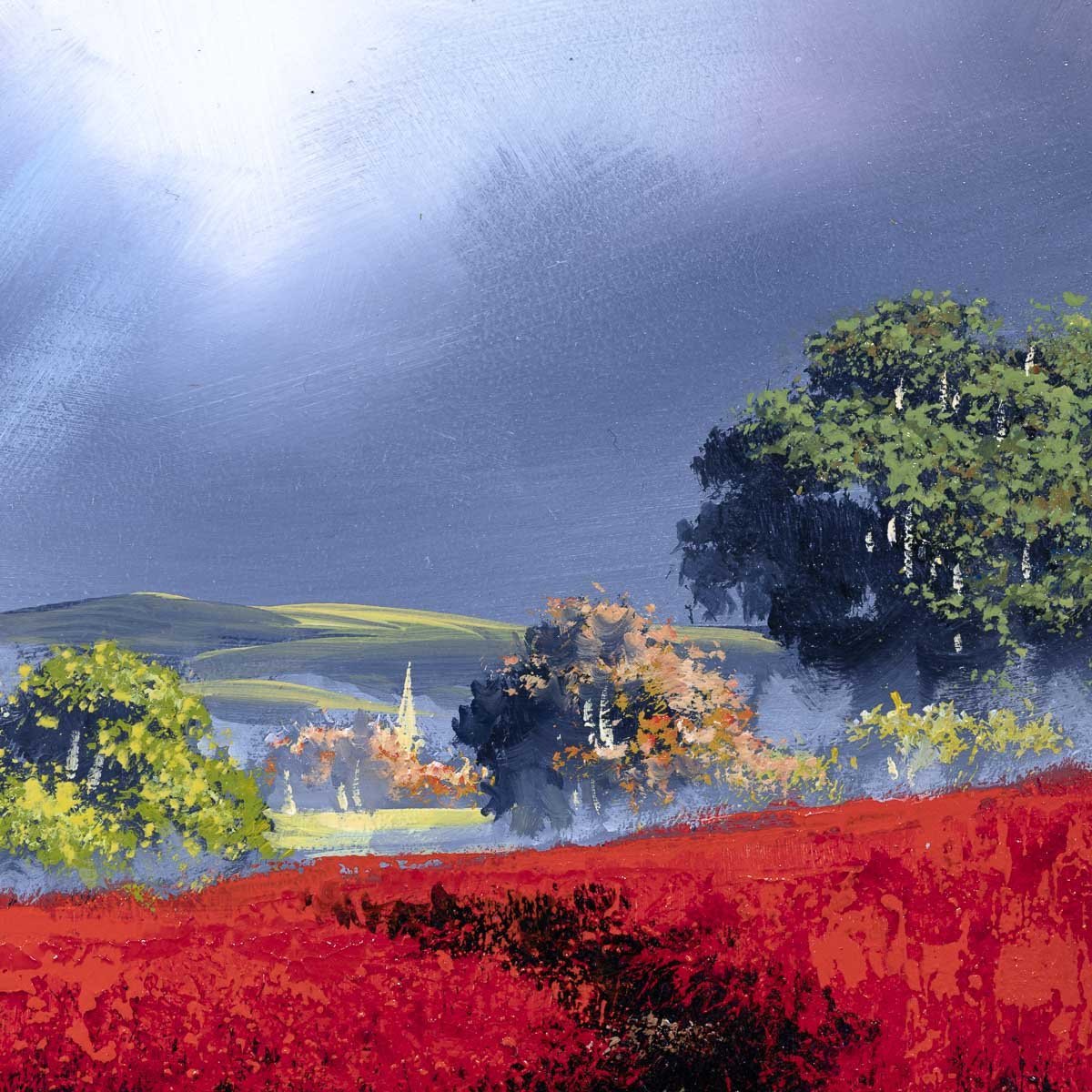 Wild Poppies - Original Allan Morgan Framed