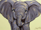 Big Ears - Original - SOLD by artist Amy Louise - Wyecliffe Galleries