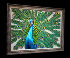 The Peacock Dance - Original - SOLD by artist Amy Louise - Wyecliffe Galleries
