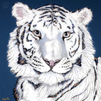 The Queen Of Ferocity - Original - SOLD by artist Amy Louise - Wyecliffe Galleries