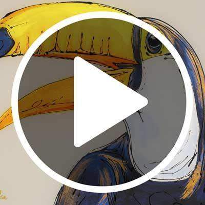 Timmy Toucan - SOLD by artist Amy Louise - Wyecliffe Galleries