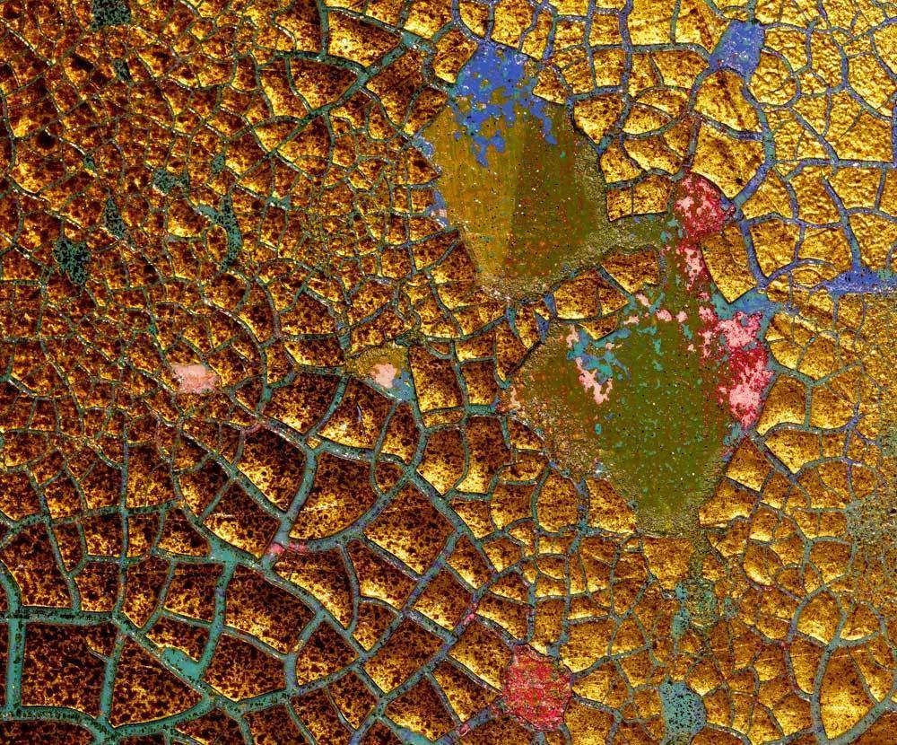 Windflowers - Original by artist Amylee - Wyecliffe Galleries