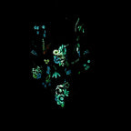 A Fragment of Your Imagination - Original Gucci Trench by artist Becky Smith - Wyecliffe Galleries