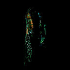 A Fragment of Your Imagination - Original Gucci Trench by artist Becky Smith - Wyecliffe Galleries