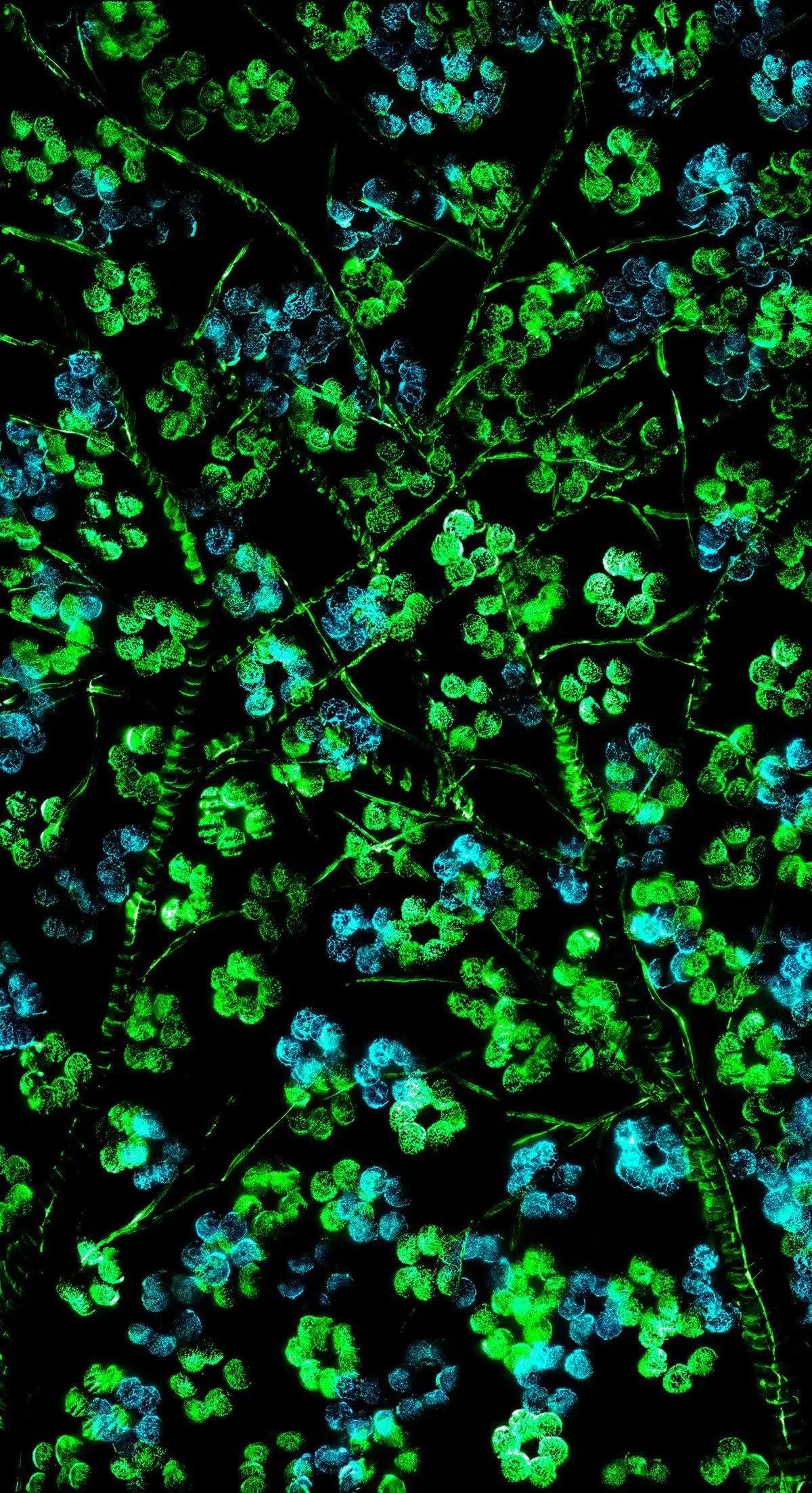 Azure Haze - Original - SOLD by artist Becky Smith - Wyecliffe Galleries