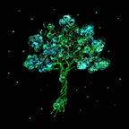 Blossom in Bloom - Standard Edition by artist Becky Smith - Wyecliffe Galleries