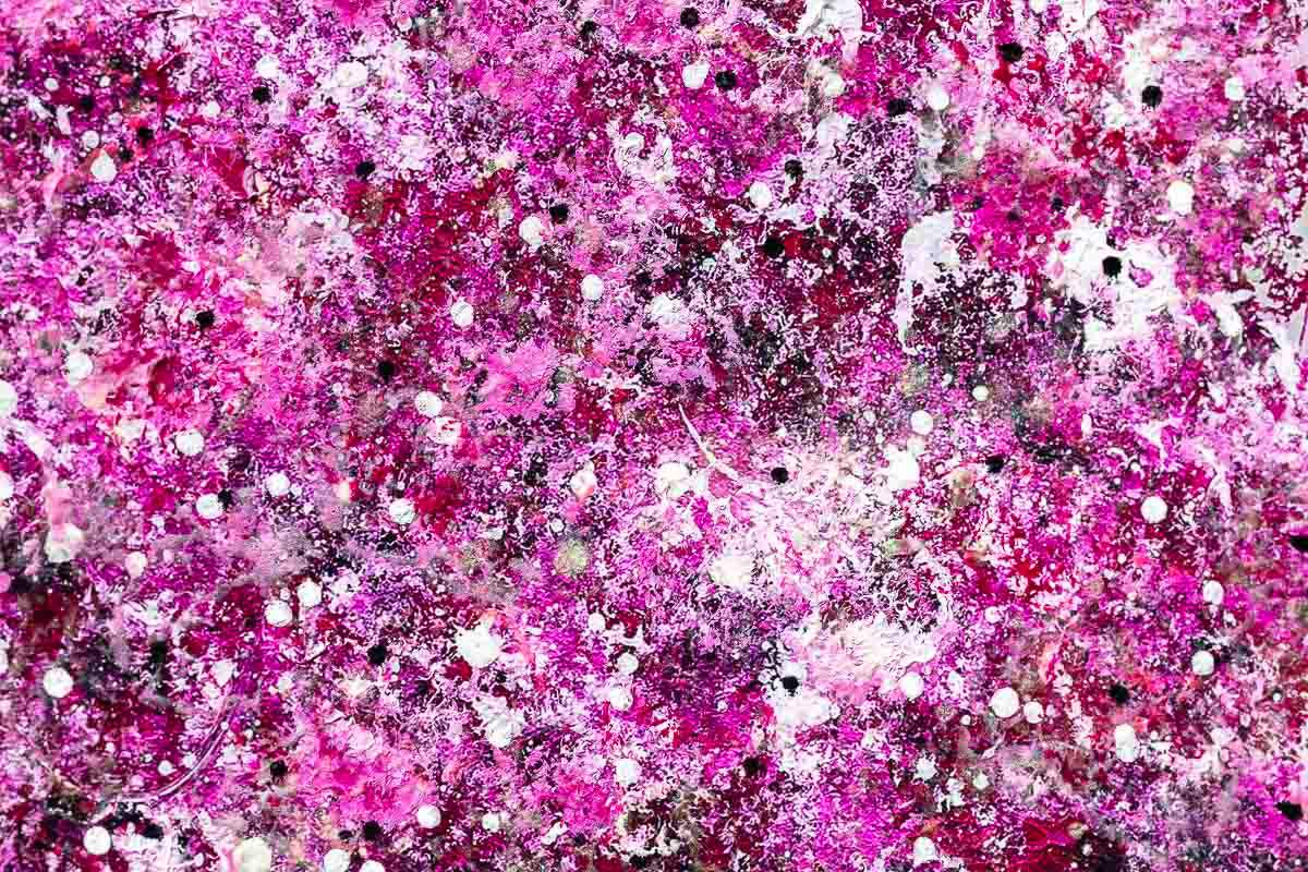 Blossom in Bloom - Standard Edition by artist Becky Smith - Wyecliffe Galleries