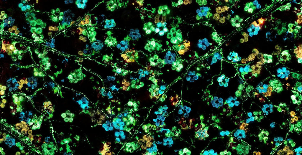 Blossoming Forest - Original - SOLD by artist Becky Smith - Wyecliffe Galleries