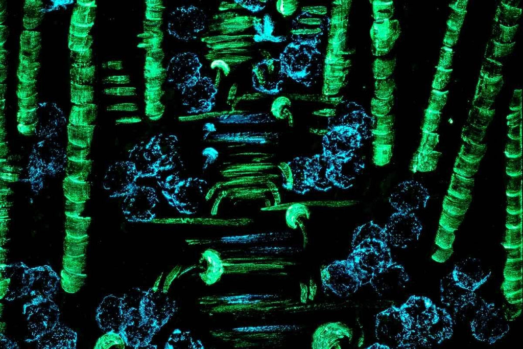 Blossoming Walks - Original - SOLD by artist Becky Smith - Wyecliffe Galleries