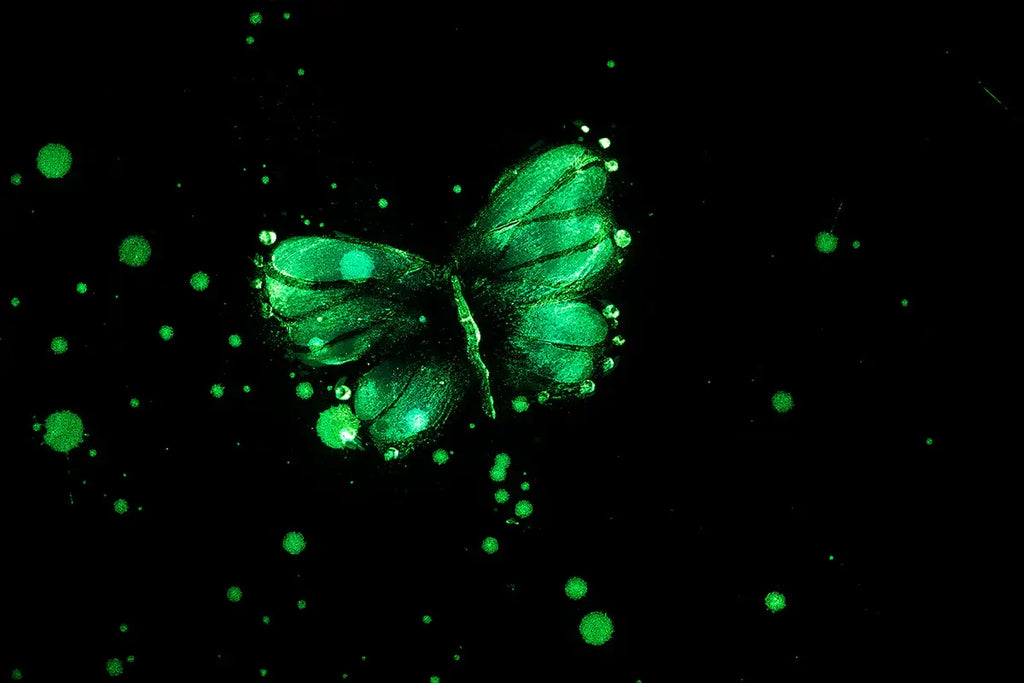 Breaking Boundaries - Original - SOLD by artist Becky Smith - Wyecliffe Galleries