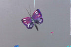 Butterflies in Bloom - Boutique Edition - SOLD by artist Becky Smith - Wyecliffe Galleries