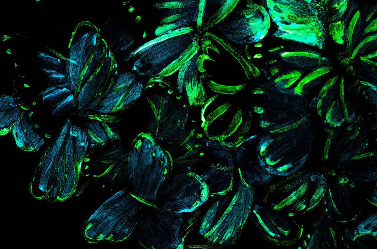 Butterfly Effect - Original - SOLD by artist Becky Smith - Wyecliffe Galleries