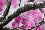 Cherry Blossom in Bloom - Original - SOLD by artist Becky Smith - Wyecliffe Galleries