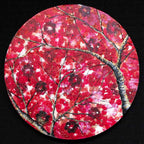 Crimson Blossom Set - Original - SOLD by artist Becky Smith - Wyecliffe Galleries