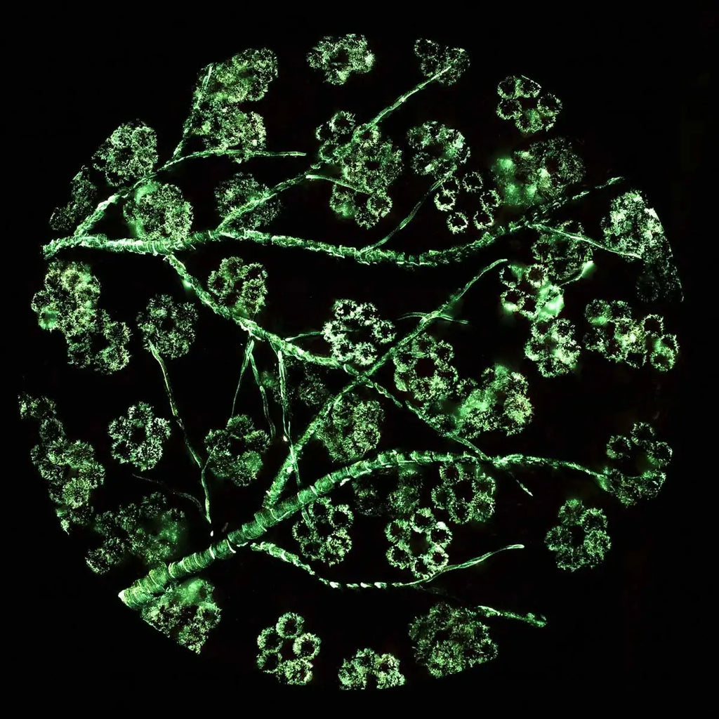 Crimson Blossom Set - Original - SOLD by artist Becky Smith - Wyecliffe Galleries