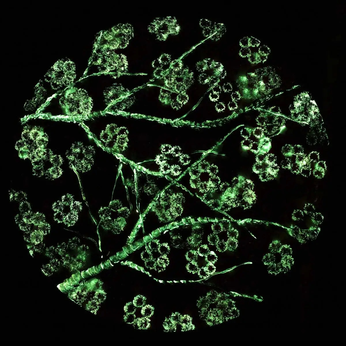 Crimson Blossom Set - Original - SOLD by artist Becky Smith - Wyecliffe Galleries