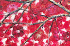 Crimson Blossom Set - Original - SOLD by artist Becky Smith - Wyecliffe Galleries
