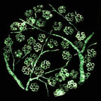 Crimson Blossom Set - Original - SOLD by artist Becky Smith - Wyecliffe Galleries