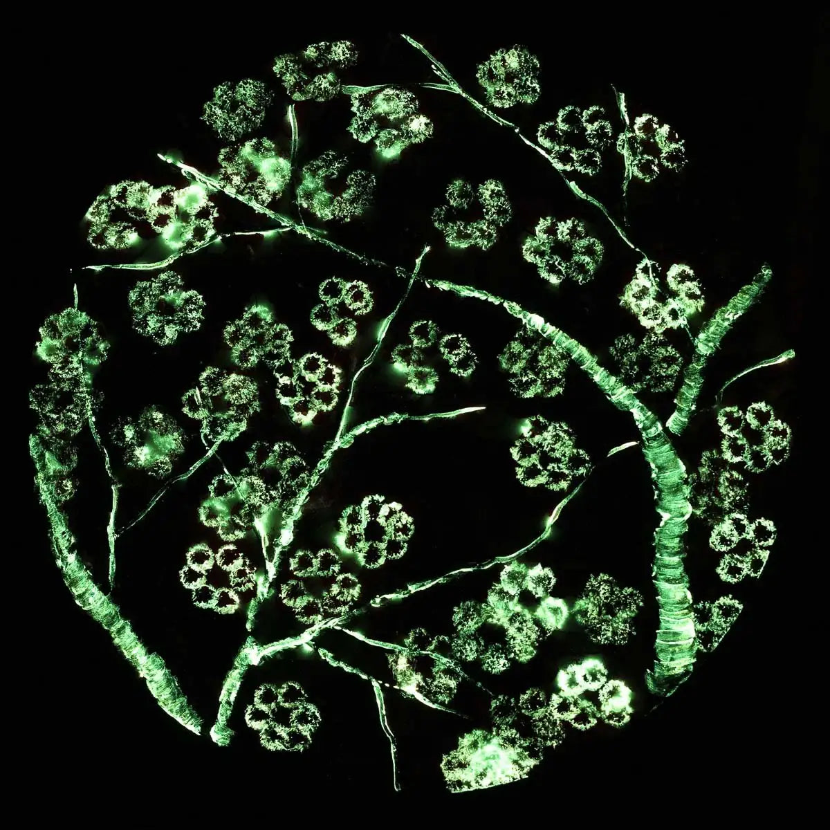 Crimson Blossom Set - Original - SOLD by artist Becky Smith - Wyecliffe Galleries