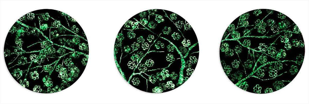 Crimson Blossom Set - Original - SOLD by artist Becky Smith - Wyecliffe Galleries