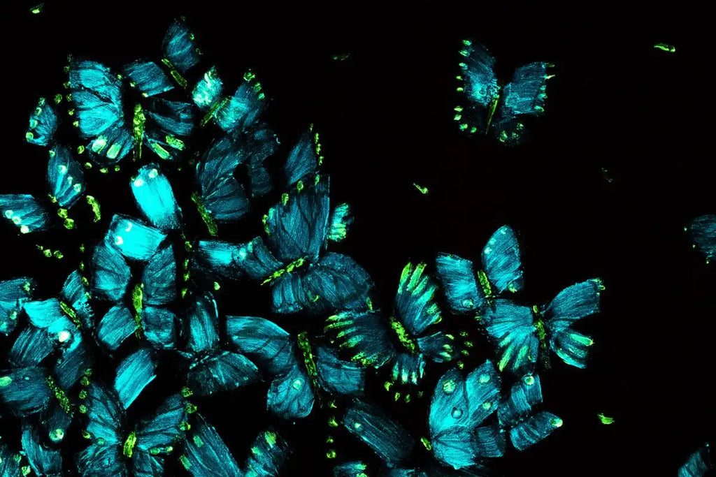 Desire - Original - SOLD by artist Becky Smith - Wyecliffe Galleries