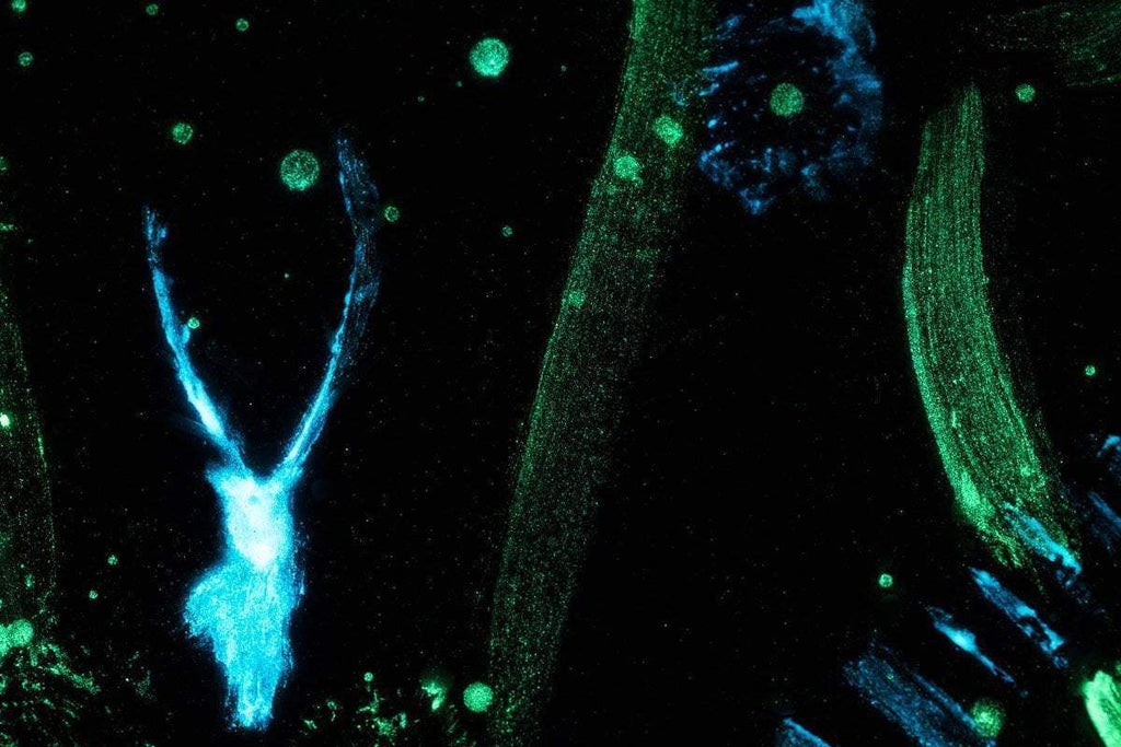 Enchantment - Original - SOLD by artist Becky Smith - Wyecliffe Galleries