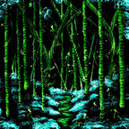 Fantasy Forest - Original by artist Becky Smith - Wyecliffe Galleries