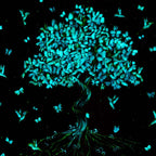 Flourish - Original - SOLD by artist Becky Smith - Wyecliffe Galleries