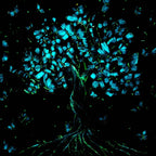 Hope - Original - SOLD by artist Becky Smith - Wyecliffe Galleries