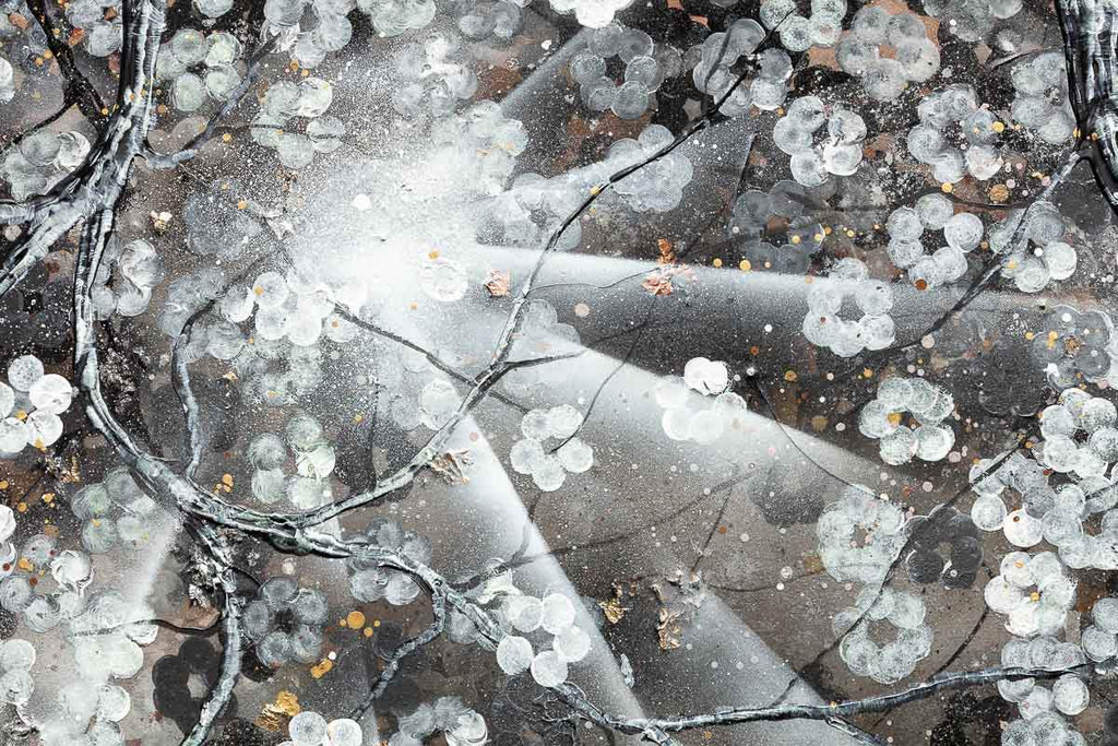 In Full Bloom - Original - SOLD by artist Becky Smith - Wyecliffe Galleries