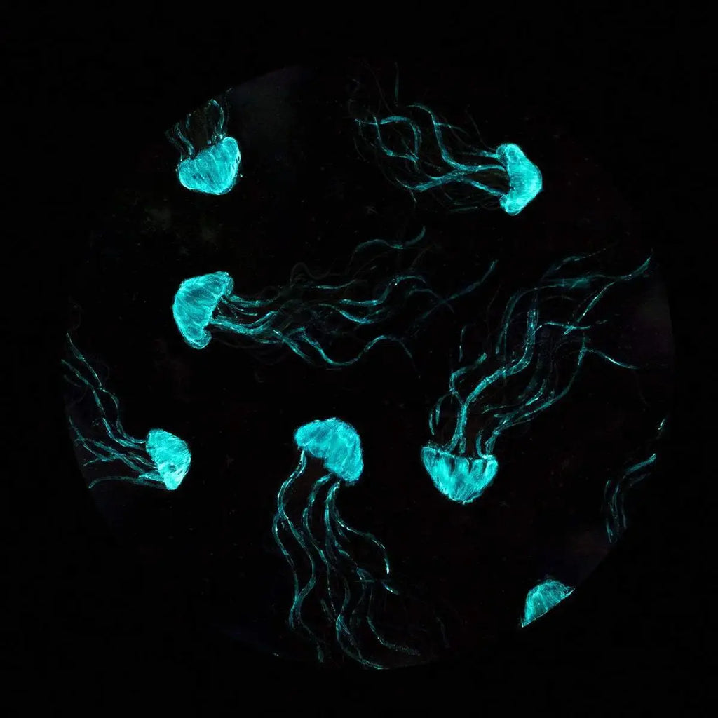 Infinite Space - Original - SOLD by artist Becky Smith - Wyecliffe Galleries