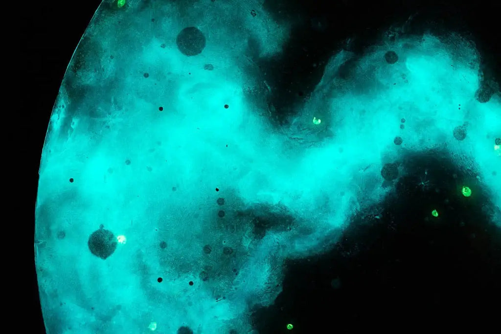 Interstellar - Original - SOLD by artist Becky Smith - Wyecliffe Galleries